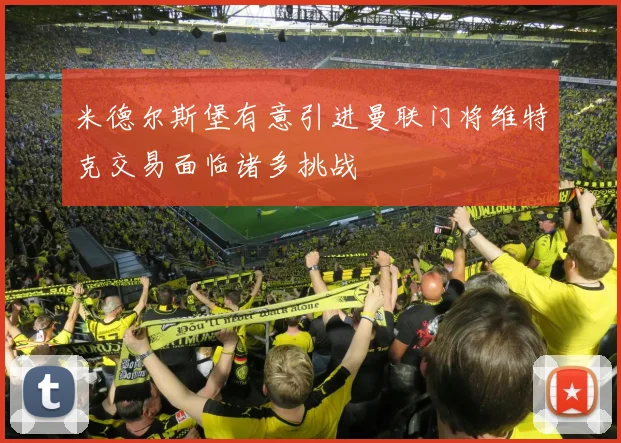 米德尔斯堡有意引进曼联门将维特克交易面临诸多挑战
