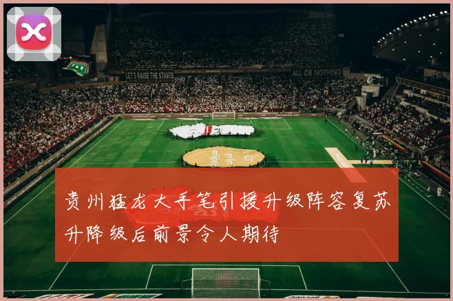 贵州猛龙大手笔引援升级阵容复苏升降级后前景令人期待